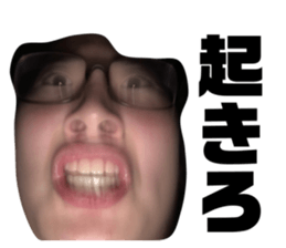 281013419