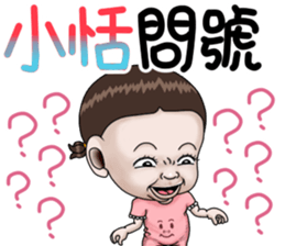 281036531