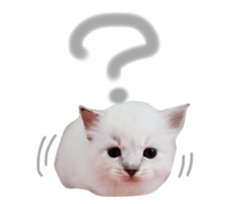 28107582