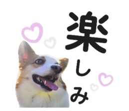 281083015