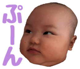 28108314