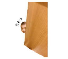 281133994