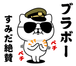 281210081