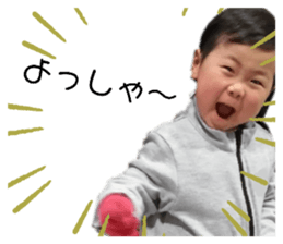 281246068