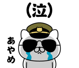 281247803