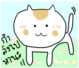 28125385