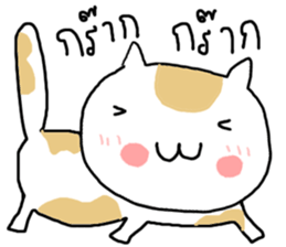28125397