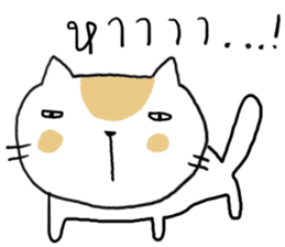 28125404