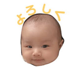 281300540