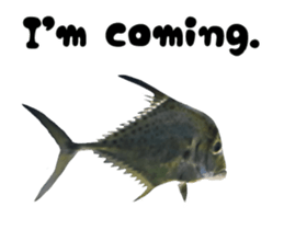 28152146