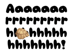 28152151