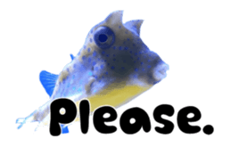 28152156