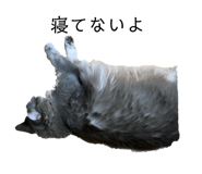 281537951