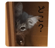 281537963