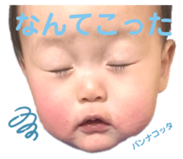 281538621
