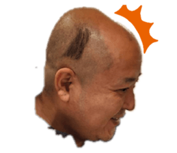 281586871