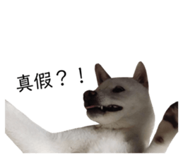 281590019