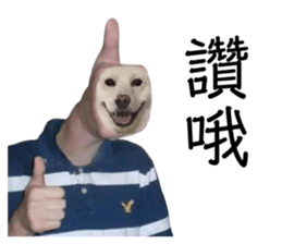 281590020