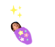 281594061