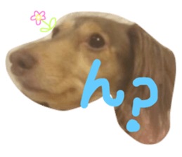 28163948
