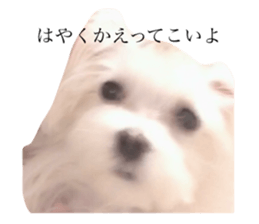 281651094