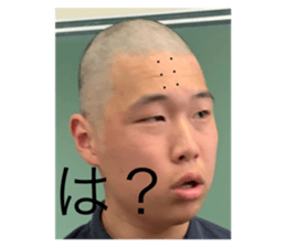 281656540
