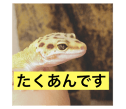 281723670