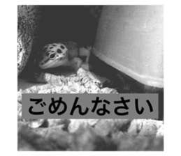281723674
