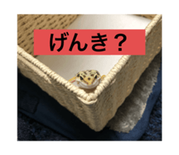 281723678