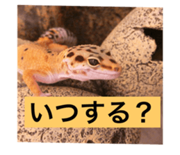 281723681