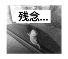 281723688