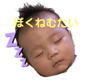 281759146