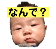281759147