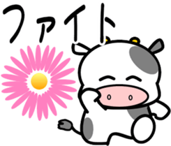 281768987