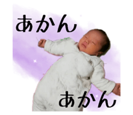 281825803