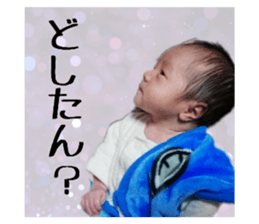 281825804