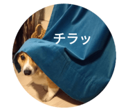 28210300
