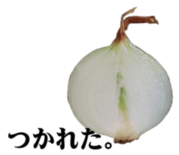28219707