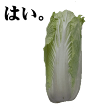 28219712