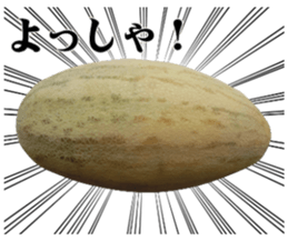 28219722