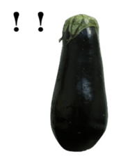 28219730