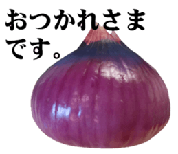 28219734