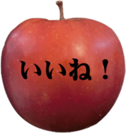 28219738