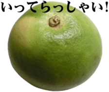 28219740