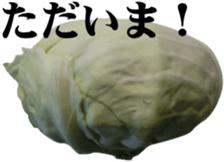 28219742