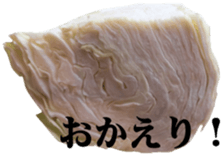 28219743