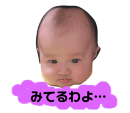 282234480