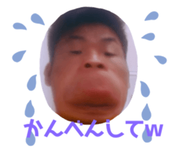 282236096