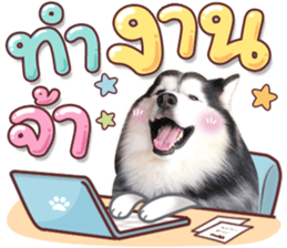 282268300