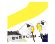 282325619